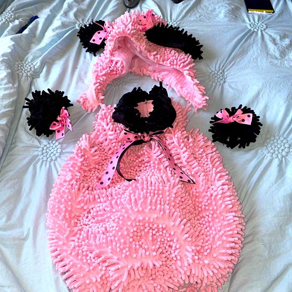 Princess Paradise Poodle 18 months costume
